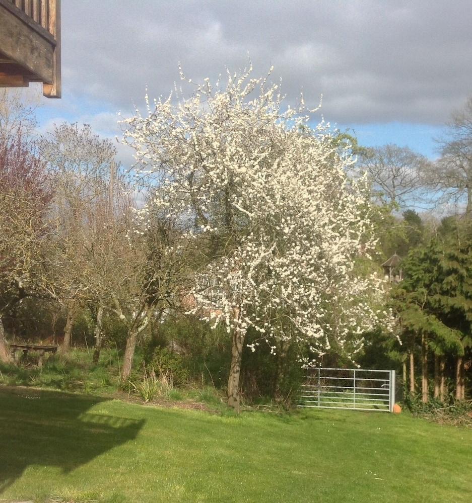 Hotel Shakespeare'S View Stratford-upon-Avon Exterior foto